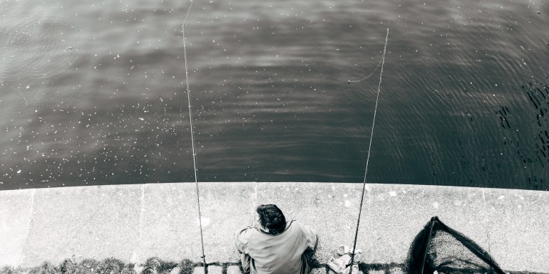 33628759511_fcae5bb06e_o